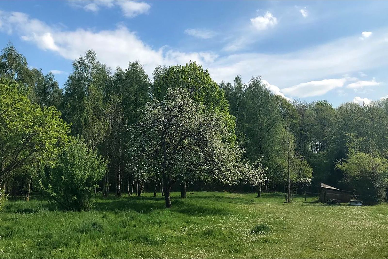 Blick über eine Wiese im Bergischen Land